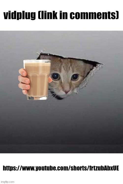 Vidplug (link in comments) | https://www.youtube.com/shorts/frtzubAbxUE | image tagged in vidplug link in comments | made w/ Imgflip meme maker