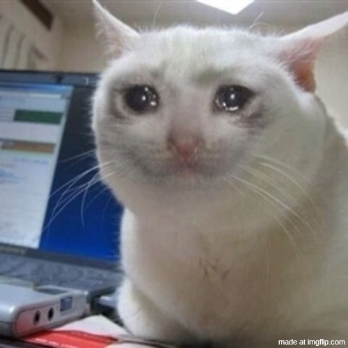 Crying cat | image tagged in crying cat | made w/ Imgflip meme maker