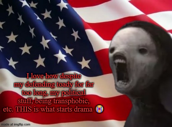 void lazy but patriotic | I love how despite my defending toady for far too long, my political stuff, being transphobic, etc. THIS is what starts drama 😭 | image tagged in void lazy but patriotic | made w/ Imgflip meme maker