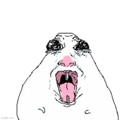 "guys my dog died" the comments: | made w/ Imgflip meme maker