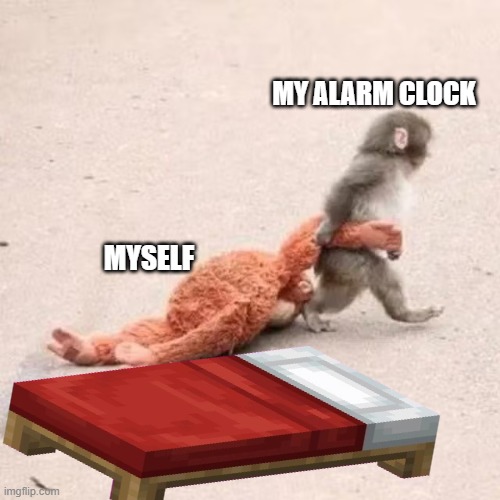 Punch the Monkey | MY ALARM CLOCK; MYSELF | image tagged in punch the monkey | made w/ Imgflip meme maker