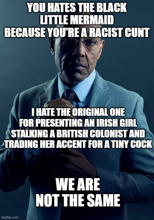 The new one makes you look stupid becuase it presents ONLY white boy in all of Jamaica as a prized piece of meat | YOU HATES THE BLACK LITTLE MERMAID BECAUSE YOU'RE A RACIST CUNT; I HATE THE ORIGINAL ONE FOR PRESENTING AN IRISH GIRL STALKING A BRITISH COLONIST AND TRADING HER ACCENT FOR A TINY COCK; WE ARE NOT THE SAME | image tagged in gus fring we are not the same | made w/ Imgflip meme maker