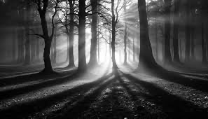 tree Blank Meme Template