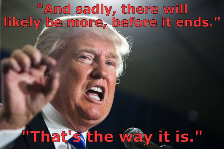 The way it is | "And sadly, there will likely be more, before it ends."; "That's the way it is." | image tagged in donald trump | made w/ Imgflip meme maker