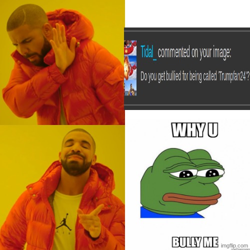 why u bully meeee | image tagged in memes,drake hotline bling,why you bully me | made w/ Imgflip meme maker