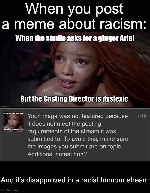 Racist humour vs humour about racists | When you post a meme about racism:; And it’s disapproved in a racist humour stream | image tagged in disapproval | made w/ Imgflip meme maker