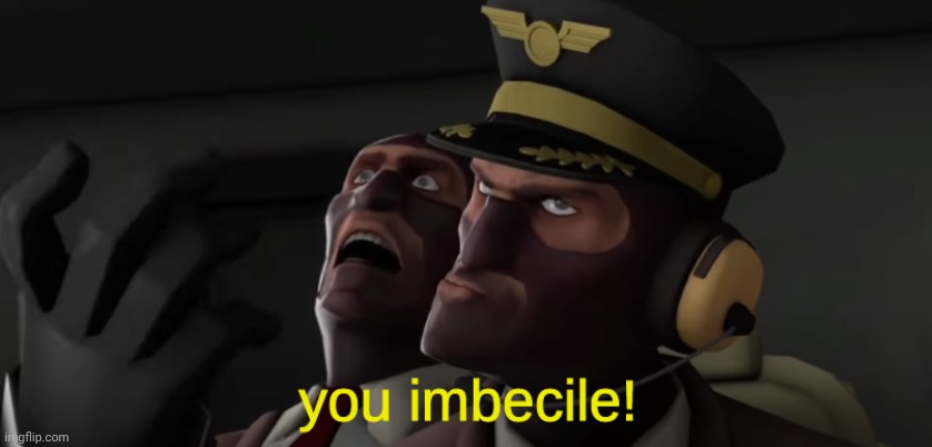 spy you imbecile | image tagged in spy you imbecile | made w/ Imgflip meme maker