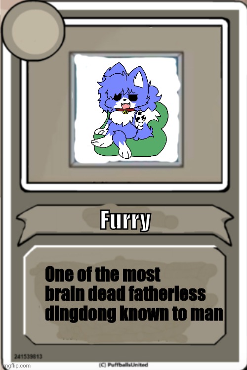 facts | Furry; One of the most brain dead fatherless dingdong known to man | image tagged in character bio | made w/ Imgflip meme maker