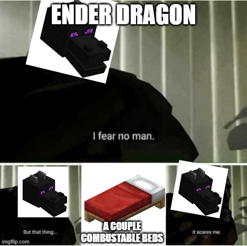 Istg speed runners always use beds to kill this guy | ENDER DRAGON; A COUPLE COMBUSTABLE BEDS | image tagged in i fear no man,minecraft | made w/ Imgflip meme maker
