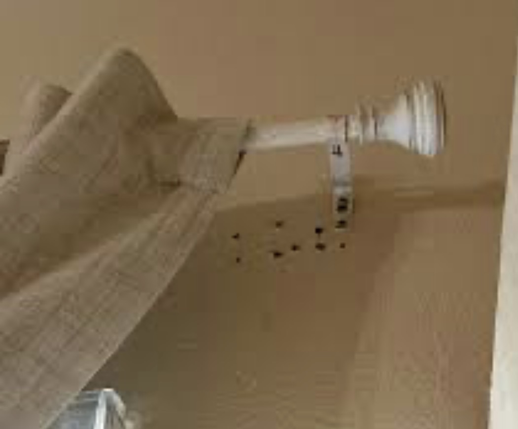 Curtain holes Blank Meme Template