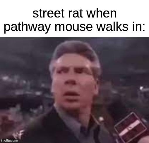 x when x walks in | street rat when pathway mouse walks in: | image tagged in x when x walks in | made w/ Imgflip meme maker