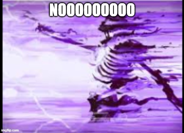 disintegrating skeleton | NOOOOOOOOO | image tagged in disintegrating skeleton | made w/ Imgflip meme maker