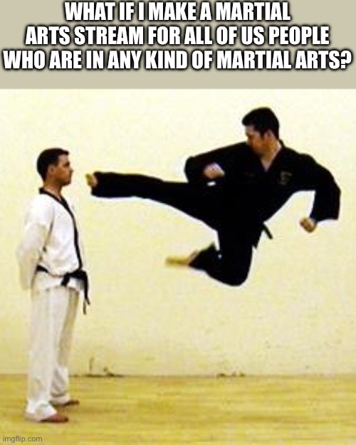 Would you like it? | WHAT IF I MAKE A MARTIAL ARTS STREAM FOR ALL OF US PEOPLE WHO ARE IN ANY KIND OF MARTIAL ARTS? | image tagged in kick,martial arts | made w/ Imgflip meme maker