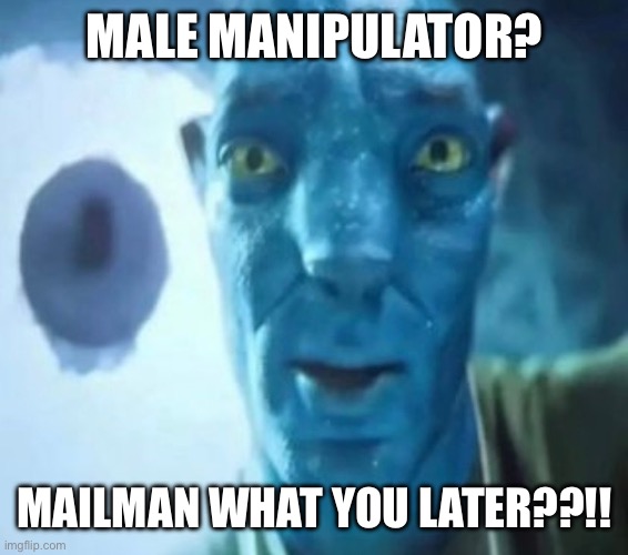 Avatar guy | MALE MANIPULATOR? MAILMAN WHAT YOU LATER??!! | image tagged in avatar guy | made w/ Imgflip meme maker