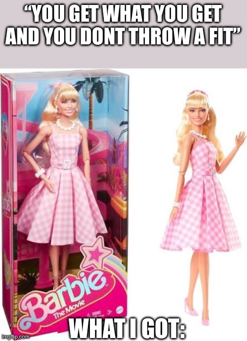if i ever got a barbie i would throw it away | “YOU GET WHAT YOU GET AND YOU DONT THROW A FIT”; WHAT I GOT: | image tagged in funny,memes,toys,trash,barbie,fit | made w/ Imgflip meme maker