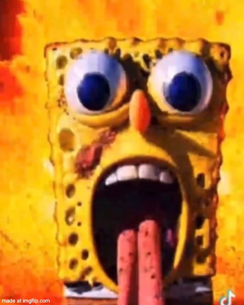 rotbob | image tagged in rotbob | made w/ Imgflip meme maker