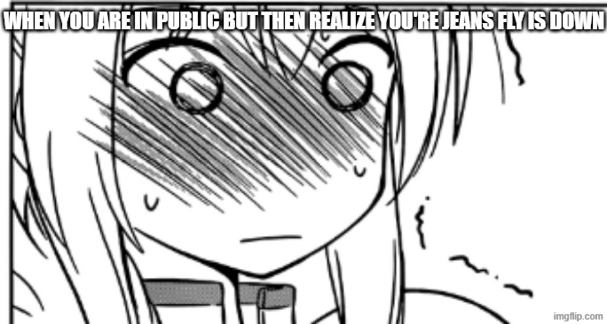 a konosuba meme for the ages | WHEN YOU ARE IN PUBLIC BUT THEN REALIZE YOU'RE JEANS FLY IS DOWN | image tagged in embarrassed anime girl,manga,konosuba,so true memes,jeans | made w/ Imgflip meme maker