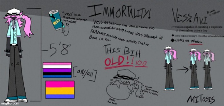 drew this character sheet to explain vess to y'all | made w/ Imgflip meme maker