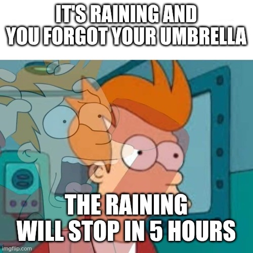 fry | IT'S RAINING AND YOU FORGOT YOUR UMBRELLA; THE RAINING WILL STOP IN 5 HOURS | image tagged in fry | made w/ Imgflip meme maker