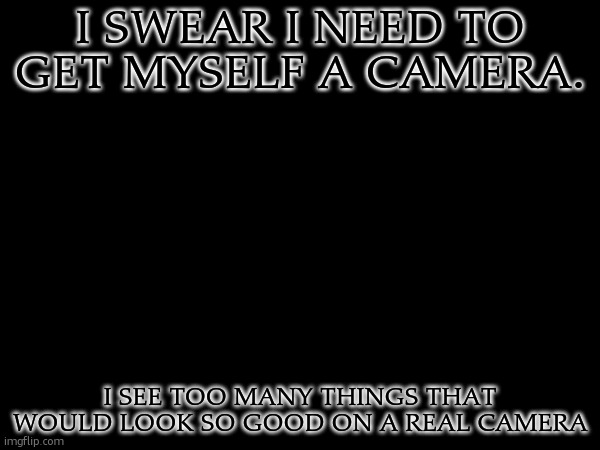 the scenery has so many opportunities for amazing pictures istg | I SWEAR I NEED TO GET MYSELF A CAMERA. I SEE TOO MANY THINGS THAT WOULD LOOK SO GOOD ON A REAL CAMERA | made w/ Imgflip meme maker