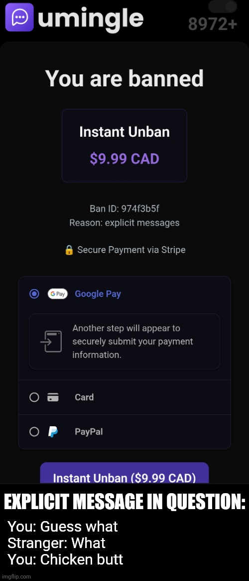 Ain't no way they tryna make me pay ToT | EXPLICIT MESSAGE IN QUESTION:; You: Guess what
Stranger: What
You: Chicken butt | image tagged in ban,omegle,paywall,chicken,chat,stranger | made w/ Imgflip meme maker