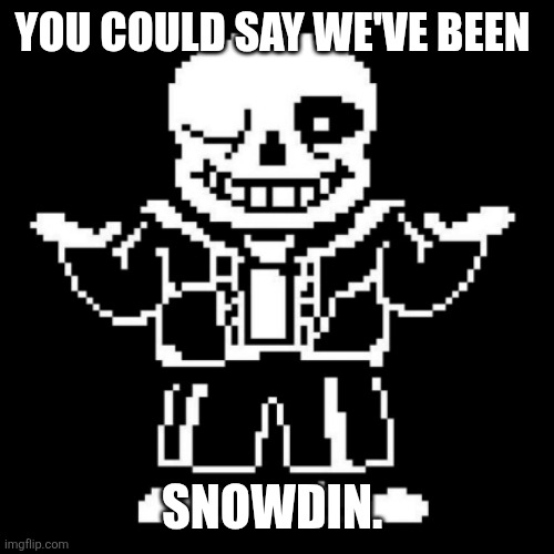 sans shrug | YOU COULD SAY WE'VE BEEN SNOWDIN. | image tagged in sans shrug | made w/ Imgflip meme maker