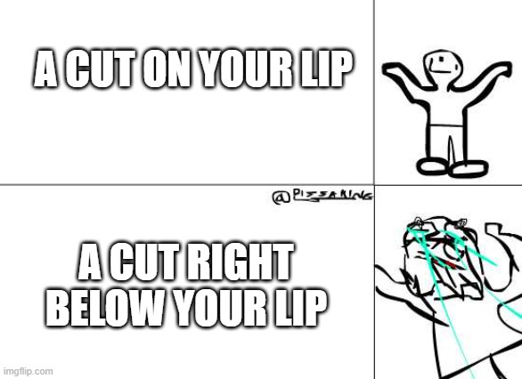 How pain be feelin like | A CUT ON YOUR LIP; A CUT RIGHT BELOW YOUR LIP | image tagged in x vs y pain,memes,relatable,funny,so true memes,pain | made w/ Imgflip meme maker
