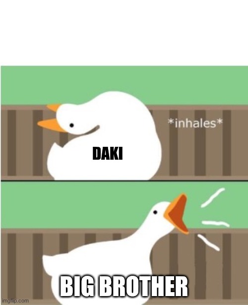 the fact she got decapitated 4 times before thay died | DAKI; BIG BROTHER | image tagged in untitled goose game honk,demon slayer | made w/ Imgflip meme maker