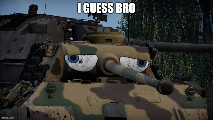 I GUESS BRO | image tagged in random bullshit go | made w/ Imgflip meme maker