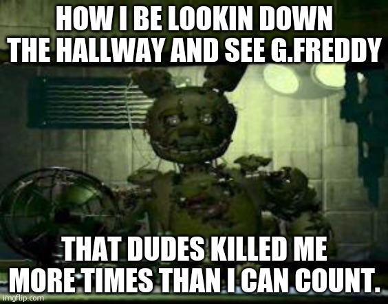 fnaf 2 is fun :) | HOW I BE LOOKIN DOWN THE HALLWAY AND SEE G.FREDDY; THAT DUDES KILLED ME MORE TIMES THAN I CAN COUNT. | image tagged in fnaf springtrap in window | made w/ Imgflip meme maker