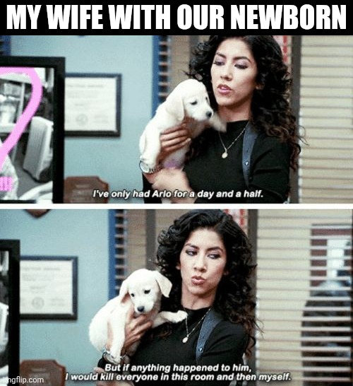 Protective Mom | MY WIFE WITH OUR NEWBORN | image tagged in i've only had arlo for a day and a half,mother,motherhood,baby | made w/ Imgflip meme maker