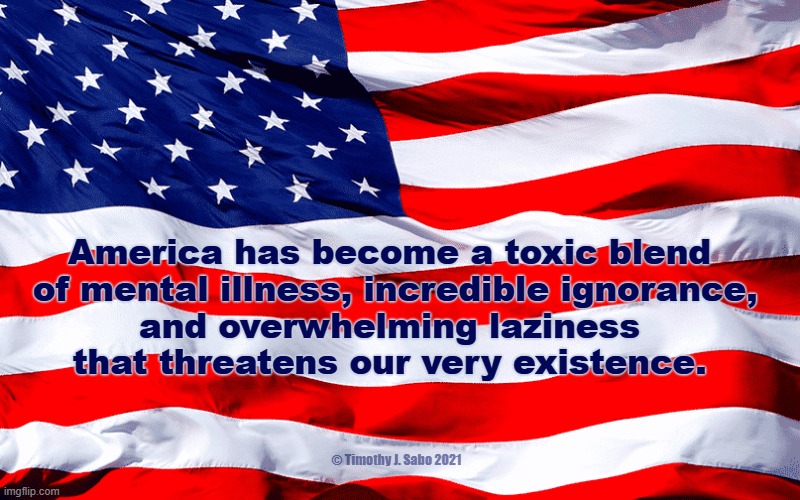 America | America has become a toxic blend
 of mental illness, incredible ignorance,
 and overwhelming laziness 
that threatens our very existence. © Timothy J. Sabo 2021 | image tagged in america,mental illness,incredible ignorance,overwhelming laziness,toxic,inflection point | made w/ Imgflip meme maker