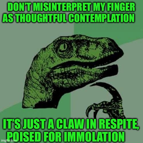 Philosoraptor Meme | DON’T MISINTERPRET MY FINGER AS THOUGHTFUL CONTEMPLATION; IT’S JUST A CLAW IN RESPITE, POISED FOR IMMOLATION | image tagged in memes,philosoraptor | made w/ Imgflip meme maker