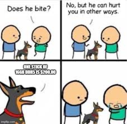 He can hurt you in other ways | ONE STICK OF 16GB DDR5 IS $200.00 | image tagged in he can hurt you in other ways | made w/ Imgflip meme maker