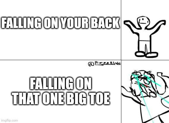 True | FALLING ON YOUR BACK; FALLING ON THAT ONE BIG TOE | image tagged in x vs y pain | made w/ Imgflip meme maker