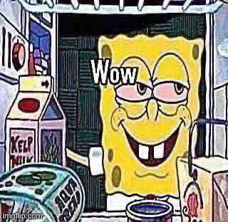 Wow | image tagged in wow | made w/ Imgflip meme maker