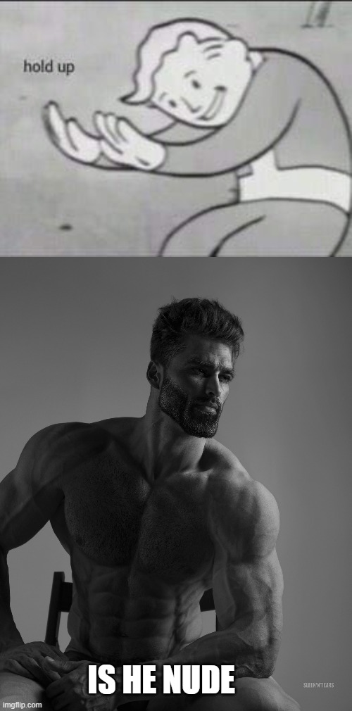 IS HE NUDE | image tagged in fallout hold up,giga chad | made w/ Imgflip meme maker