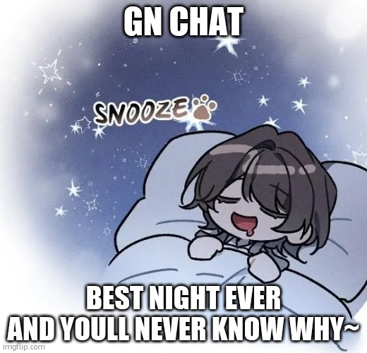 mmm so happy~ | GN CHAT; BEST NIGHT EVER AND YOULL NEVER KNOW WHY~ | image tagged in snooze | made w/ Imgflip meme maker