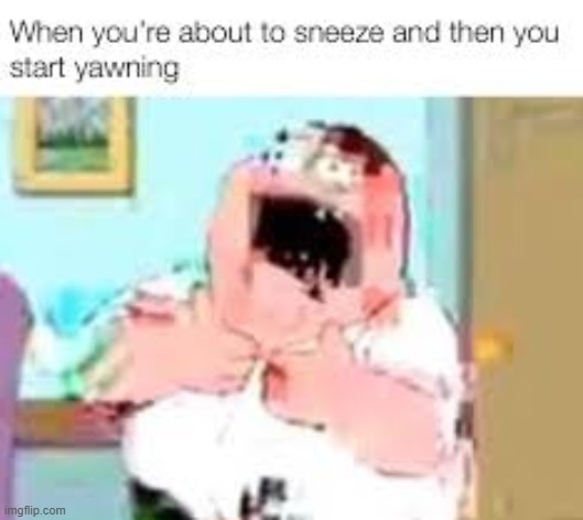 image tagged in meme | made w/ Imgflip meme maker