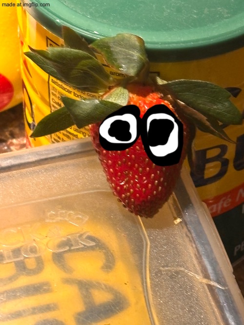 seedly | made w/ Imgflip meme maker