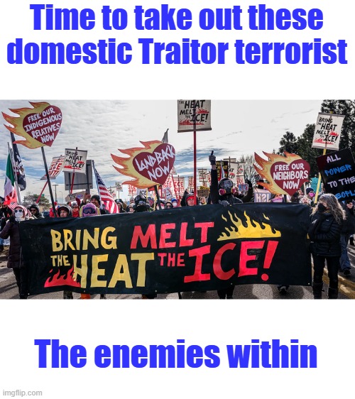Time to take out these domestic Traitor terrorist; The enemies within | made w/ Imgflip meme maker