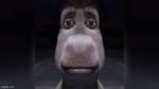 donkey sad face | image tagged in donkey sad face | made w/ Imgflip meme maker