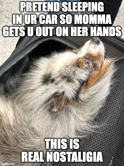 pom | PRETEND SLEEPING IN UR CAR SO MOMMA GETS U OUT ON HER HANDS; THIS IS REAL NOSTALIGIA | made w/ Imgflip meme maker