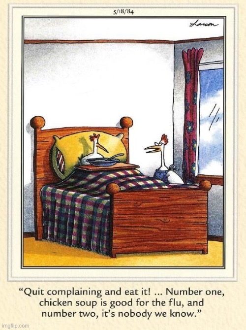 Listen to your mother | image tagged in the far side,comics,chickens,sick,chicken soup,nobody we know | made w/ Imgflip meme maker