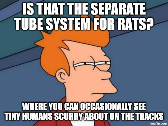 Futurama Fry Meme | IS THAT THE SEPARATE TUBE SYSTEM FOR RATS? WHERE YOU CAN OCCASIONALLY SEE TINY HUMANS SCURRY ABOUT ON THE TRACKS | image tagged in memes,futurama fry | made w/ Imgflip meme maker