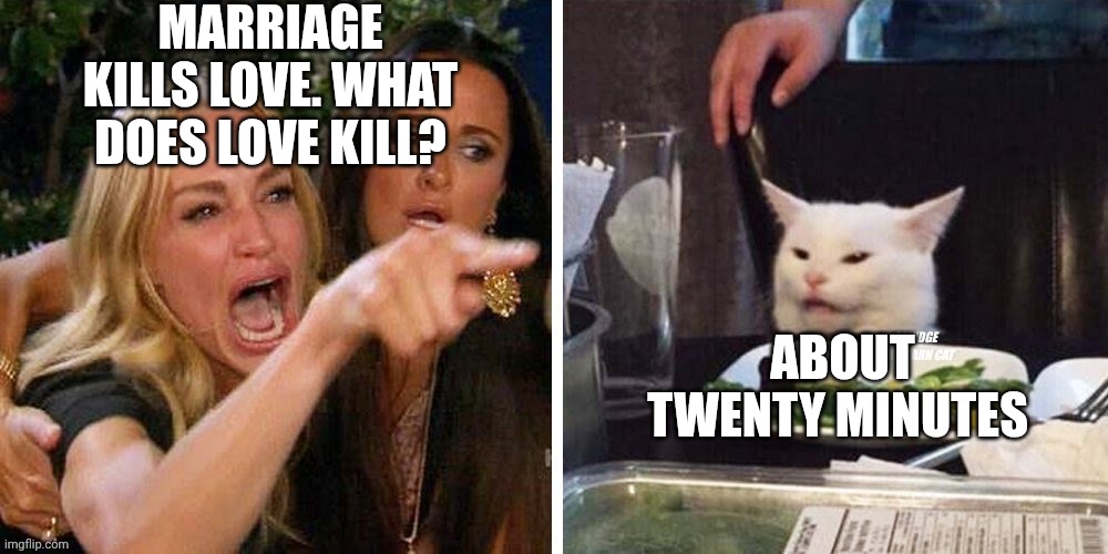 Smudge that darn cat with Karen | MARRIAGE KILLS LOVE. WHAT DOES LOVE KILL? ABOUT TWENTY MINUTES | image tagged in smudge that darn cat with karen | made w/ Imgflip meme maker