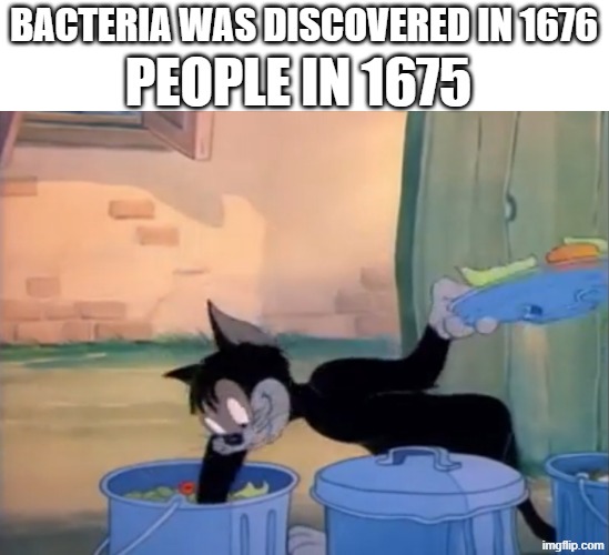 yup i guess we had no issues | PEOPLE IN 1675; BACTERIA WAS DISCOVERED IN 1676 | image tagged in butch cat garbage picking | made w/ Imgflip meme maker