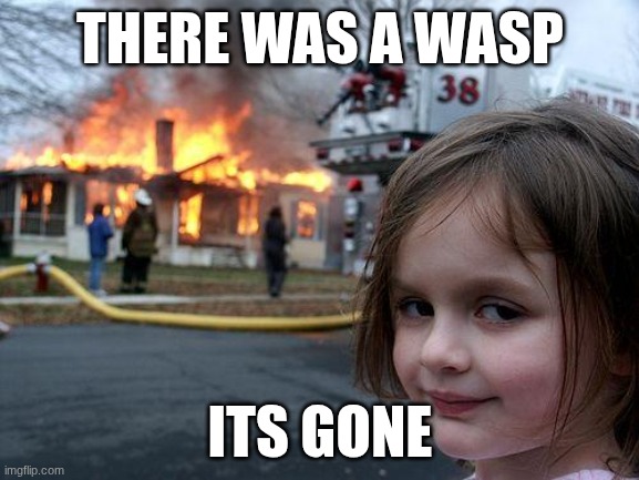 When there's a wasp in your house | THERE WAS A WASP; ITS GONE | image tagged in memes,disaster girl,funny,funny memes,lmao | made w/ Imgflip meme maker