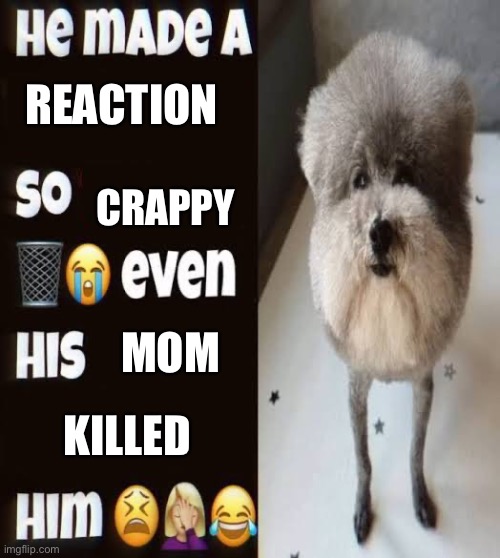 He made a statement so trash | REACTION; CRAPPY; MOM; KILLED | image tagged in he made a statement so trash | made w/ Imgflip meme maker