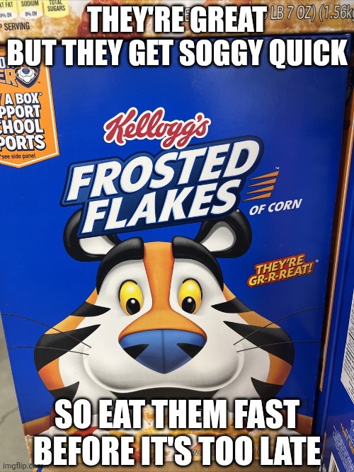 THEY'RE GREAT
BUT THEY GET SOGGY QUICK SO EAT THEM FAST BEFORE IT'S TOO LATE | made w/ Imgflip meme maker